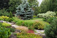 Flagstone path next to border with yellow Sedum - Stonecrop flowers, red Pennisetum 'Fireworks' - Fountain Grass, Pinus sylvestris 'Spaan's Fastigiata' - Scotch Pine and Picea pungens 'Colorado Blue' - Spruce tree in background in backyard country garden in summer, Quebec, Canada
