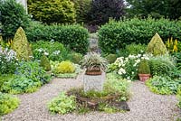 The Vean Garden with clipped box and golden privet surrounded by perennials such as Leucanthemum x superbum 'Goldrausch', hardy geraniums, Alchemilla mollis, ligularias and variegated comfrey and phlox. At its centre is a shallow urn planted with Astelia nivicola 'Red Gem'. Bosvigo, Truro, Cornwall, UK