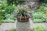 The Vean Garden, at its centre an urn planted with Astelia nivicola 'Red Gem'. Bosvigo, Truro, Cornwall, UK