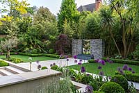 Town garden designed by Kate Gould. A sunken terrace is edged in box balls interplanted with purple and white allium. Low box hedges separate the lawn from beds filled with bamboo, cordyline, acer, Trachycarpus fortunei, olive tree, hosta and euphorbia.
