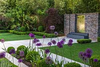 Town garden designed by Kate Gould. A stainless steel water feature is set into a dry stone wall. Rectangular patches of lawn are edged in box balls interplanted with purple and white allium. Boundary beds are filled with bamboo, cordyline, acer, Trachycarpus fortunei, hosta and euphorbia.