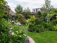 A shaped grass path winds through large mixed borders, in a well established town garden.