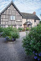 Wollerton Old Hall, nr Market Drayton, Shropshire, UK, with containers planted with salvias, petunias and lavender.