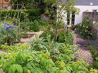 Beside house, vegetable potager with brick-edged beds in gravel, planted with cornflowers, runner beans on a wigwam support, roses, raspberries, cardoon, rhubarb and catmint.