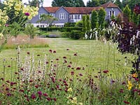 Contemporary garden. Naturalistic herbaceous beds of thalictrum, sanguisorba, scabious, catmint, lavender. On left, meadow.
