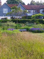 Contemporary garden. Seen over meadow, naturalistic herbaceous beds - scabious, sedum, echinops, lavender, acanthus. 