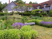 Contemporary garden. Bench set in naturalistic herbaceous beds - scabious, sedum, echinops, euphorbia, lavender.