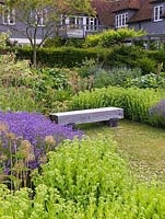 Contemporary garden. Bench set in naturalistic herbaceous beds - Sedum Herbstfreude, Echinops ritro Veitchs Blue, Lavandula angustifolia Hidcote, Knautia macedonica, allium.