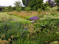 Contemporary garden. Seen past dogwood, scabious,  lavender, allium, echinops and sedum, meadow with fruit trees. Beyond, naturalistic border melding with countryside.