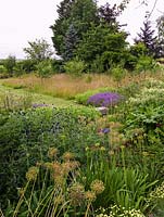 Contemporary garden. View over dogwood, scabious,  lavender, allium, echinops acanthus and sedum, to natural meadow with fruit trees.
