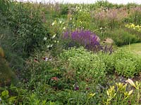 Contemporary garden. Informal border of daylily, catmint, foxglove, scabious, salvia, diamond grass, sedum, hardy geranium, fennel, veronicastrum and oregano.