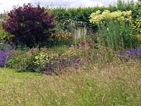 Seen from meadow, naturalistic border of smokebush, achillea, verbascum daylily, catmint, hardy geranium, foxglove, scabious, thalictrum and salvia.