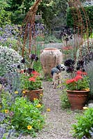 A large oil jar marks the centre of the Rickyard, framed by rusty metal 'arches' and pots of Aeonium 'Zwartkop' with scarlet pelargoniums. Gravel path is framed with clipped pittosporum, hebe and box. Dyffryn Fernant, Fishguard, Pembrokeshire, Wales, UK