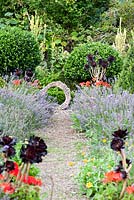 Pots of Aeonium 'Zwartkop' and scarlet pelargoniums in the Rickyard with lavender and calendula. At the end of the gravel path is a circle of wood with a painted inscription. Dyffryn Fernant, Fishguard, Pembrokeshire, Wales, UK