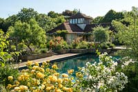 A view across a border with Rosa 'Graham Thomas' and Philadelphus 'Belle Etoile' to the swimming pool and pool house. Trees include Fraxinus angustifolia 'Raywood' and Pyrus salicifolia 'Pendula'.