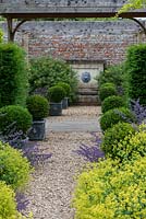 A formal walled garden with gravel path leading to a water feature. The path is lined by box balls in containers, yew hedging, catmint and Alchemilla mollis.