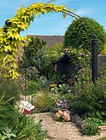 An arch with Golden hops frames a view of a pretty town garden with cottage garden style planting. 