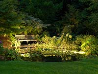 Garden lighting at night. Spotlight illuminates pool reflecting white hydrangea heads. Bench beneath acers beside pool. Water lilies.