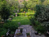 45m x 12m town garden. Patio edged in drymis, pittosporum,  euphorbia. Rectangular lawn divided by box balls, viburnum. 