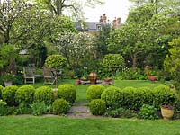 45m x 12m town garden. View over box balls and standard Viburnum tinus, to table and chairs beneath apple trees, near bubbling urn water feature and woven goose statue.