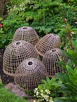 Woven basketware protectors sit over delicate seedlings to protect them from birds.
