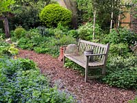 Seen over froth of blue Brunnera macrophylla 'Langtrees', a wooden bench sits in shade of birches beside bed of pulmonaria, camassia, lamium, cow parsley, comfrey, hellebore.