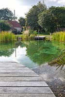 View of decking leading to swimming pond in domestic garden with mature trees.