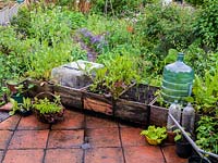 Alys Fowler's 18m x 6m, organic back garden. Pretty and productive, a mix of fruit, herbs, flowers and vegetables thrive in packed beds. Recycled plastic bottles make mini cloches.