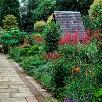 Long Red and Purple Border. Summerhouse edged in box watering can topiary, lollipop privet and clumps of Lobelia tupa, lily, salvia, astilbe and abutilon. Tetrapanax papyrifer.