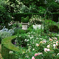 Formal front garden. Box circle of Rosa Kent and pink Rosa Penelope. In gravel, mounds of box, lavender, euonymus around topiary box bird in stone urn.