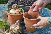 Adding crocks to pots to assist with drainage