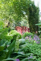 Red Japanese style bridge in the Bog Garden at Forde Abbey with Primula beesiana, Phyllostachys and Lysichiton americanus foliage in foreground