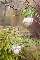 Egg Shell Cress hanging in a rustic string satchel. 