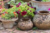 On brick terrace, weathered pots of petunias.
