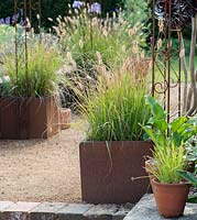 Rusted corten steel containers with Pennisetum grasses.