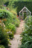 A path leads to a greenhouse through a double border planted with late summer flowering perennials including echinops, cardoon, salvia, daylily, crocosmia,  sedum, fennel, helenium, Verbena bonariensis, Carthusian dianthus, and drumstick allium.