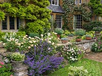 By house, stone terrace edged in catmint, valerian and Rosa Gloire de Dijon scrambling along the wall. Pots of marguerites on sheltered terrace