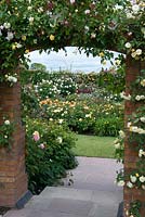 View from Renaissance Garden to the Lion Garden in David Austin Roses' two-acre show garden containing over 700 different roses. 