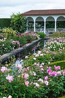 The Renaissance Garden is devoted to English Roses such as yellow Rosa 'Charlotte', rich pink 'Buscobel', light pink 'Geoff Hamilton', crimson 'Falstaff' and mid pink 'Mayflower'.