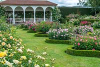 The Renaissance Garden at David Austin Roses is devoted to English Roses such as yellow 'Charlotte', rich pink 'Buscobel', light pink 'Geoff Hamilton', crimson 'Falstaff' and mid pink 'Mayflower'.