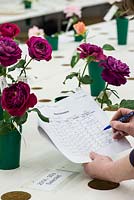 The indoor trial centre for cut flowers at David Austin Roses where different cut blooms are assessed for quality, scent, disease, longevity, and any problems noted.