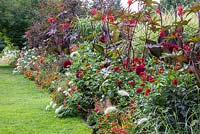 The red border at Weihenstephan Trial Garden is backed by Miscanthus, planting contains a mixture of perennials and non hardy plants. Dahlia 'Spartacus', Canna indica 'Schwabenstolz', Miscanthus sinensis 'Variegatus', Pennisetum villosum, Penstemon, Ricinus communis 'Carmencita Red', Zinnia 'Profusion F1 Fire', Zinnia elegans 'Scarlet Flame'