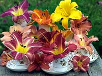 Still life of daylilies in a Victorian porcelain coffee set.