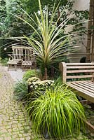 Cordyline australis 'Torbay Dazzler' - cabbage palm in a container amongst Buxus sempervirens and Taxus baccata topiary,  Carex oshimensis 'Everillo', beside cobblestone path.