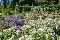 The Rose Garden, Bodnant Garden, North Wales. June