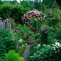 Box parterre with Rosa 'Ispahan' on the arch, Delphinium 'Alice Artindale'. Clematis 'Prince Charles', Rosa 'Charles de Mills' on obelisks and arum lily, phlox, pinks and campanula.