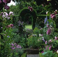 View through Rosa 'Ispahan' over box parterre with Phlox paniculata, clematis, eryngium, lilies, pinks, scabious, aconitum, delphinium, campanula and roses to a yew arch.