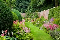 Grass path between late summer herbaceous borders and box topiary balls, Astilbe, Filipendula, Hostas, Lythrum and  Phlox