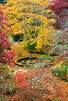 Assorted Japanese maples surrounding circular pond