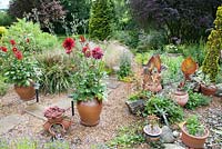 Raised gravel garden, Dahlia 'Bergers Record' in pot, Canna, Sempervivum